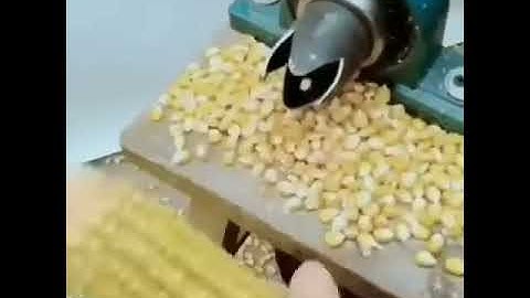 Mini project Corn removing manual machine..