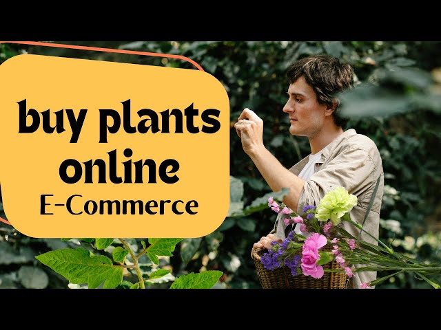 Buy Plants Online - E-Commerce | Developed by Tagwebs