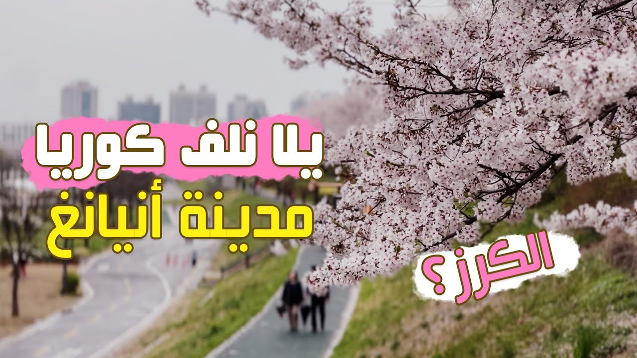 يلا نلف كوريا كلها سوا وتعالوا نروح مدينة أنيانغ، مدينة رقم خمسة في تحدي يلا نلف كوريا كلها سوا