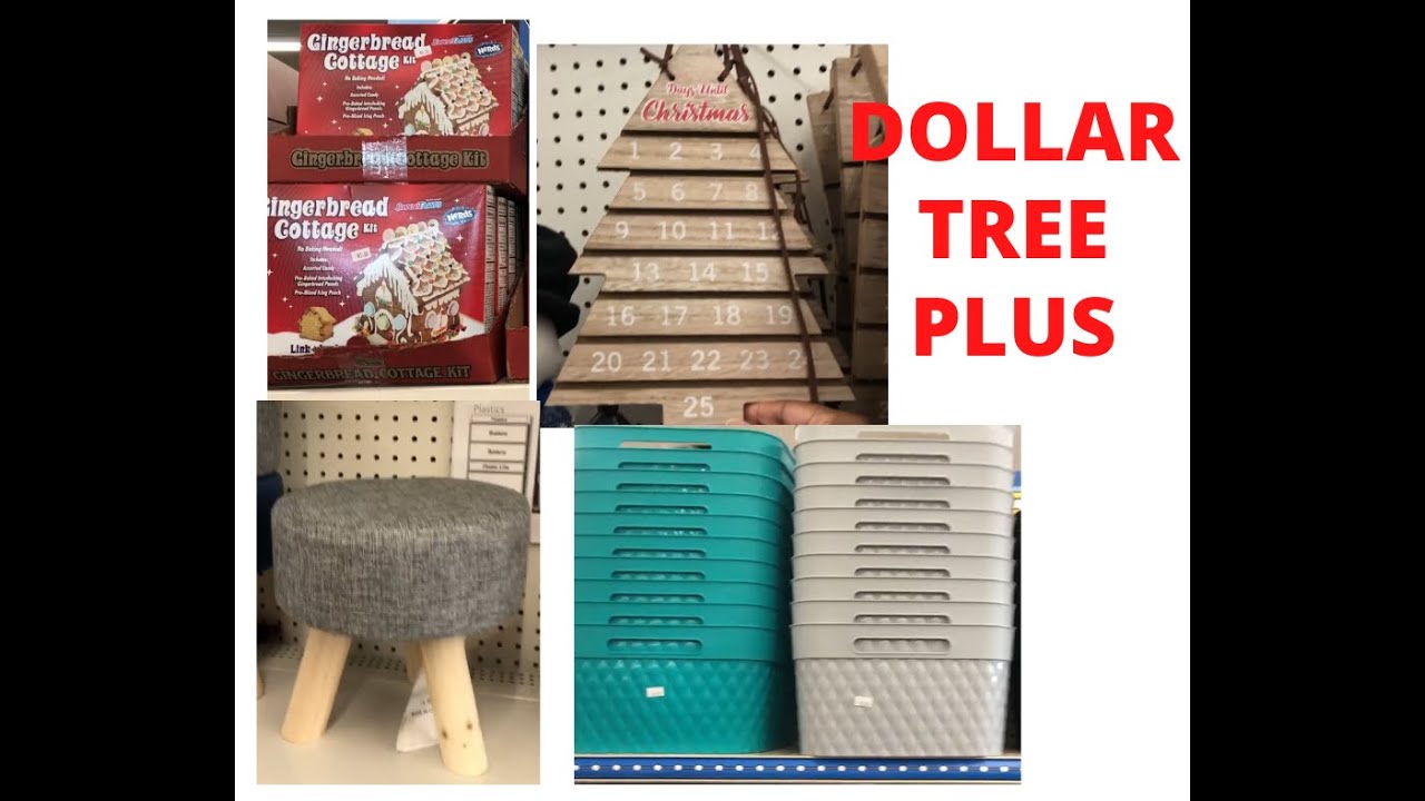 DOLLAR TREE/ DOLLAR TREE PLUS