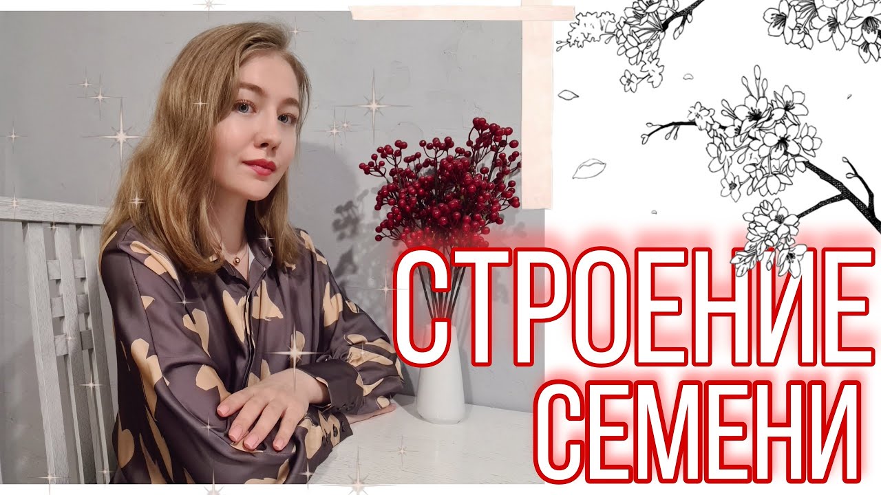 БОТАНИКА||СТРОЕНИЕ СЕМЕНИ/СЕМЯ ФАСОЛИ/ЗЕРНОВКА ПШЕНИЦЫ - YouTube