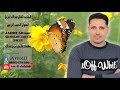 جديد الفنان عبدالله أمزيل Amzil Abdelah 