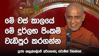 අරියනන්ද ස්වාමීන් වහන්සේගේ ප්‍රයෝගික අත්දැකීම්