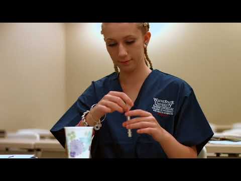c2-pipeline-—-pharmacy-and-health-sciences-track,-wayne-state-university