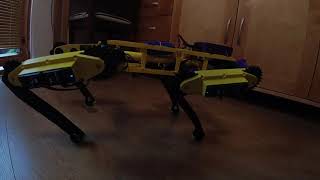 Celebrity RoboDog: Quadruped gait in slow motion Profile