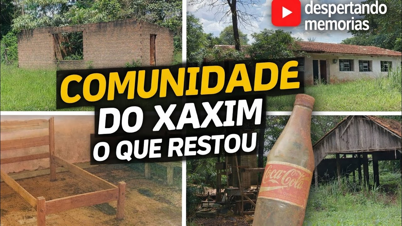 O que restou da comunidade do xaxim em Apucarana PR 