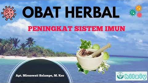 Obat herbal untuk meningkatkan sistem imun di masa pandemi