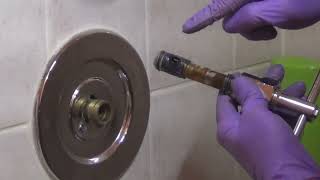 LIVE: 30 yr old Moen 1225 Cartridge Replacement