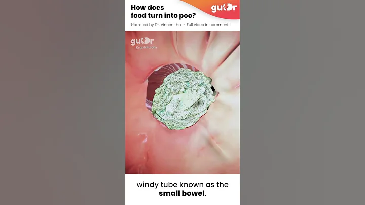 How Food Turns Into Poo | 3D Animation #Shorts - DayDayNews