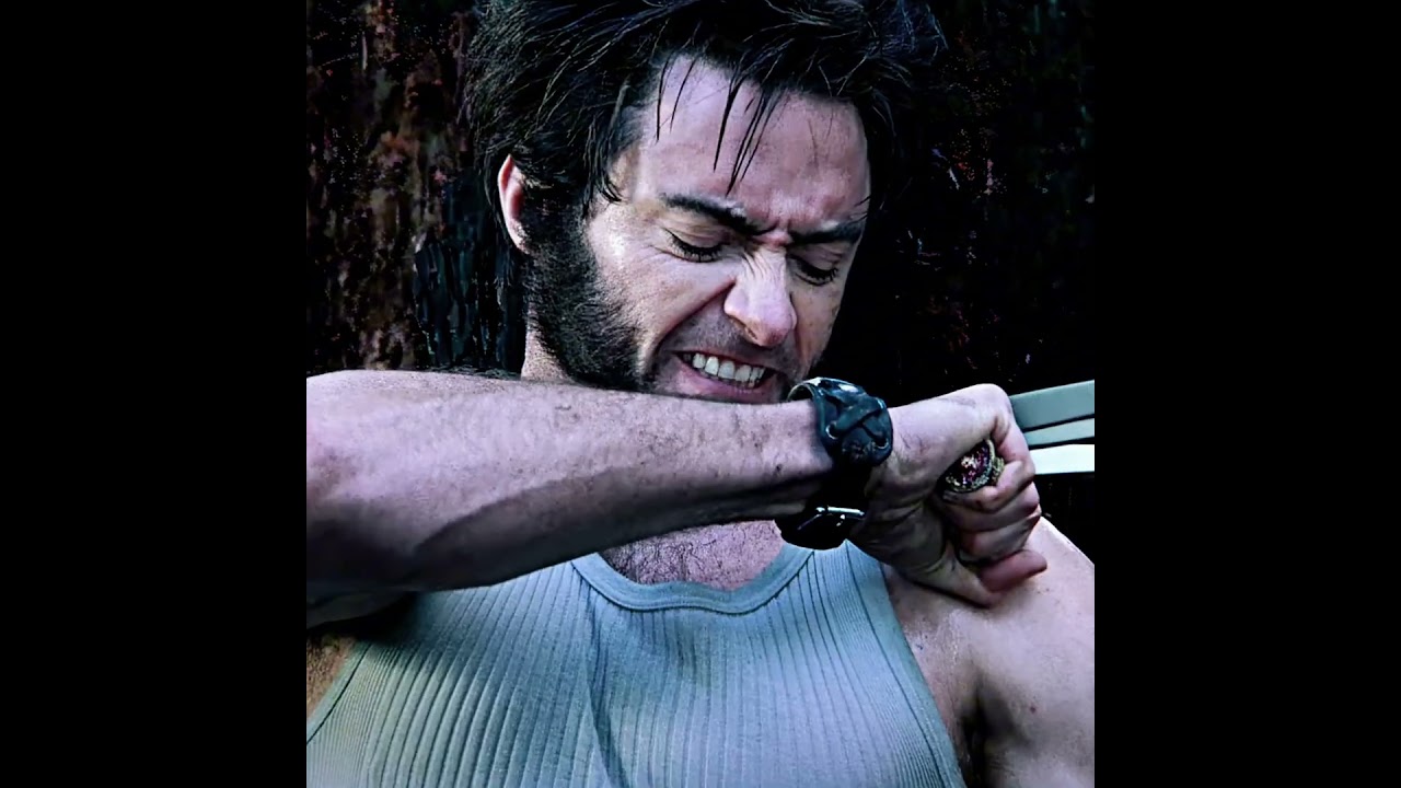 When Wolverine Goes Hunting&hellip; but Becomes the Target