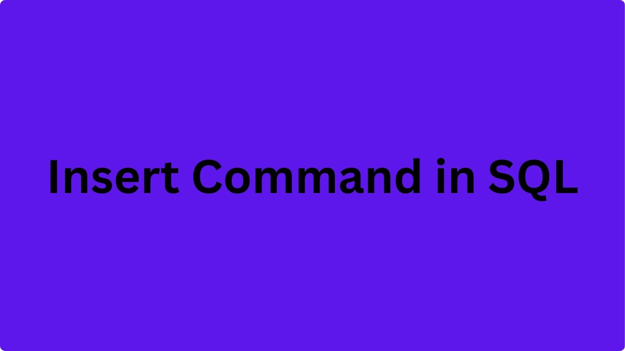 Information Technology Grade 12 Unit 3: INSERT Command - YouTube