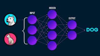Advanced AI: Deep Reinforcement Learning in Python Lazy