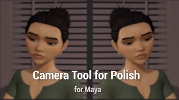 Camera Tool For Polish: for Maya