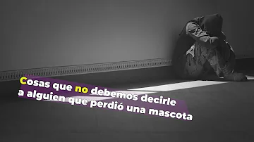 ¿Cómo animar a una persona que perdió a su mascota?