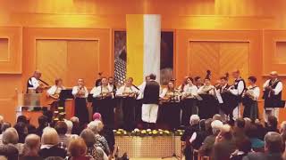 Hallelujah - Leonard Cohen Cover Tamburica Orchester