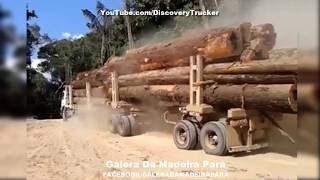 DISCOVERY TRUCKER | GALERA DA MADEIRA #01