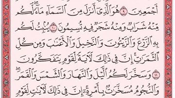 تكرار الوجه الثاني من سورة النحل كل آية ٣مرات للشيخ فارس