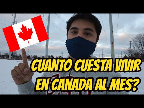 Cuánto Dinero Necesitas Ganar Para Vivir En Ciudades Canadienses