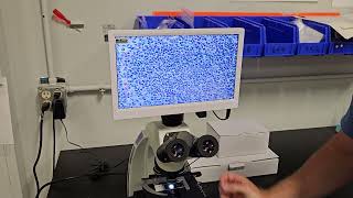 Upgrade Your Microscope with a Simple Heads-Up Display Screen! | Microscope Marketplace Profile
