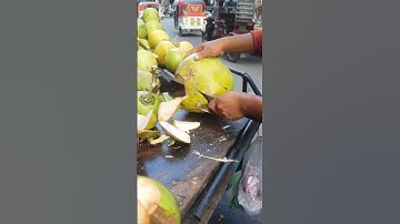Testing the Best Machetes for Opening Coconuts