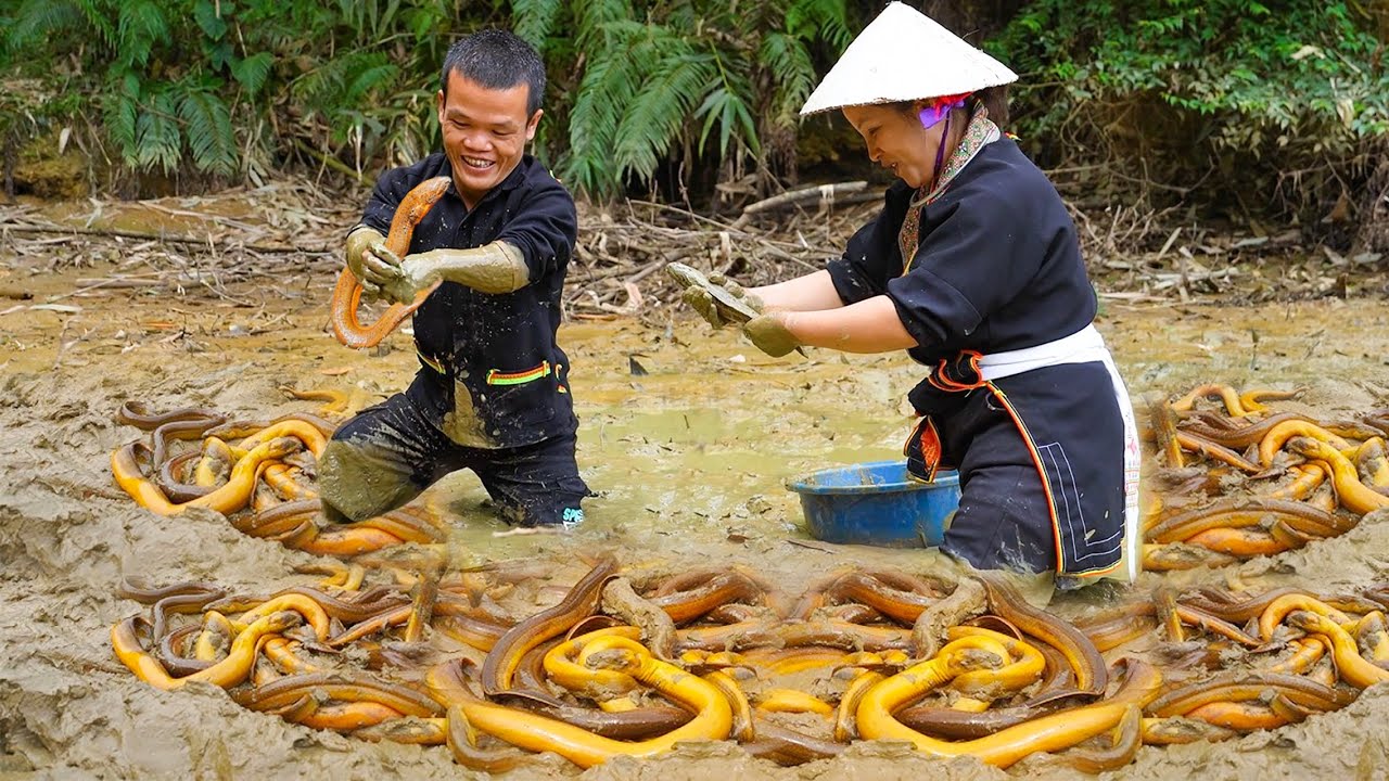 81 Days of Dwarf Family Survival - Catching Eels, Fishing and Harvesting Fruit