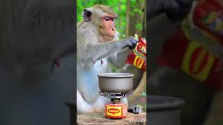 #Monkey Chef Cooks Maggi Noodles with banana🍌! 🐒🍜 #बंदर मैगी