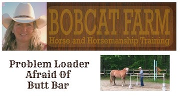 Problem Loader Afraid Of Butt Bar