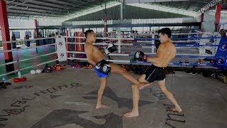 Celebrity Muay Thai Counters - How to Counter the Lean Back Technique Net Worth