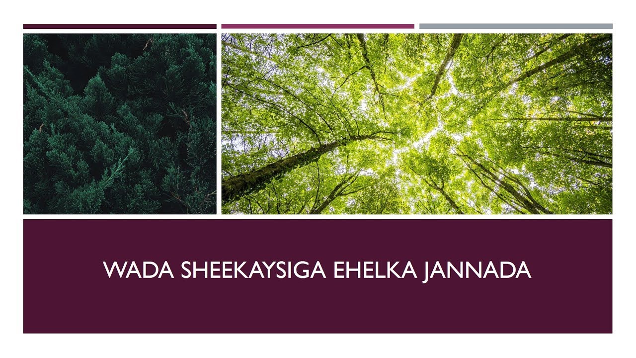 Jannada Raxmaanka 16aad┇Wada Sheekaysiga Ehelka Jannada