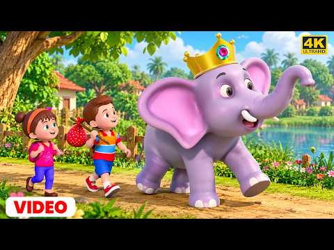 Elephant King