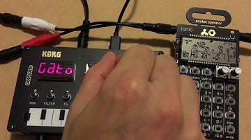 KORG NTS-1 & Pocket Operator PO-32 Tonic: experiment with Gator fx
