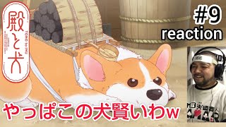 殿と犬 同時視聴