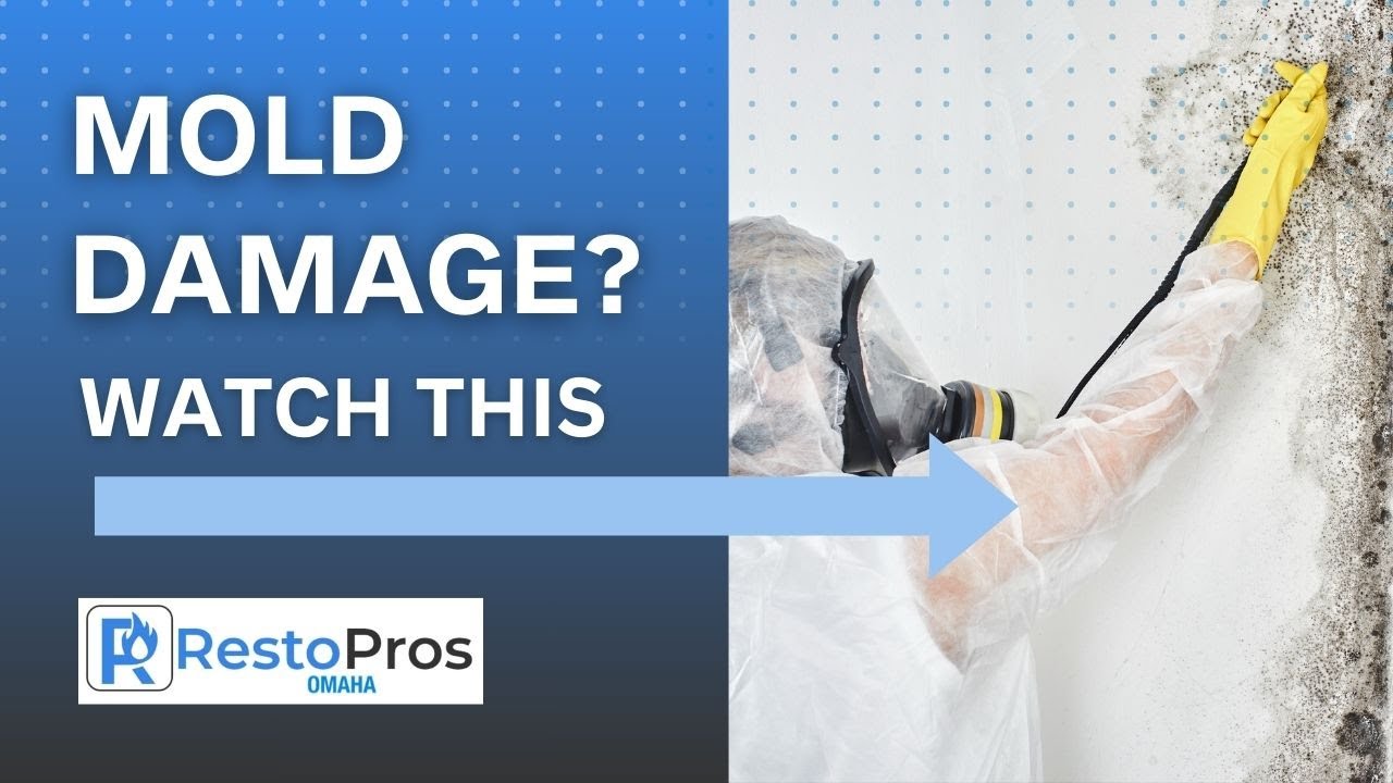 Mold Mitigation Omaha