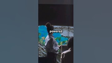 Can AI Predict Hurricanes?