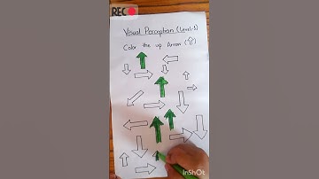 Visual perception worksheet (level 1)