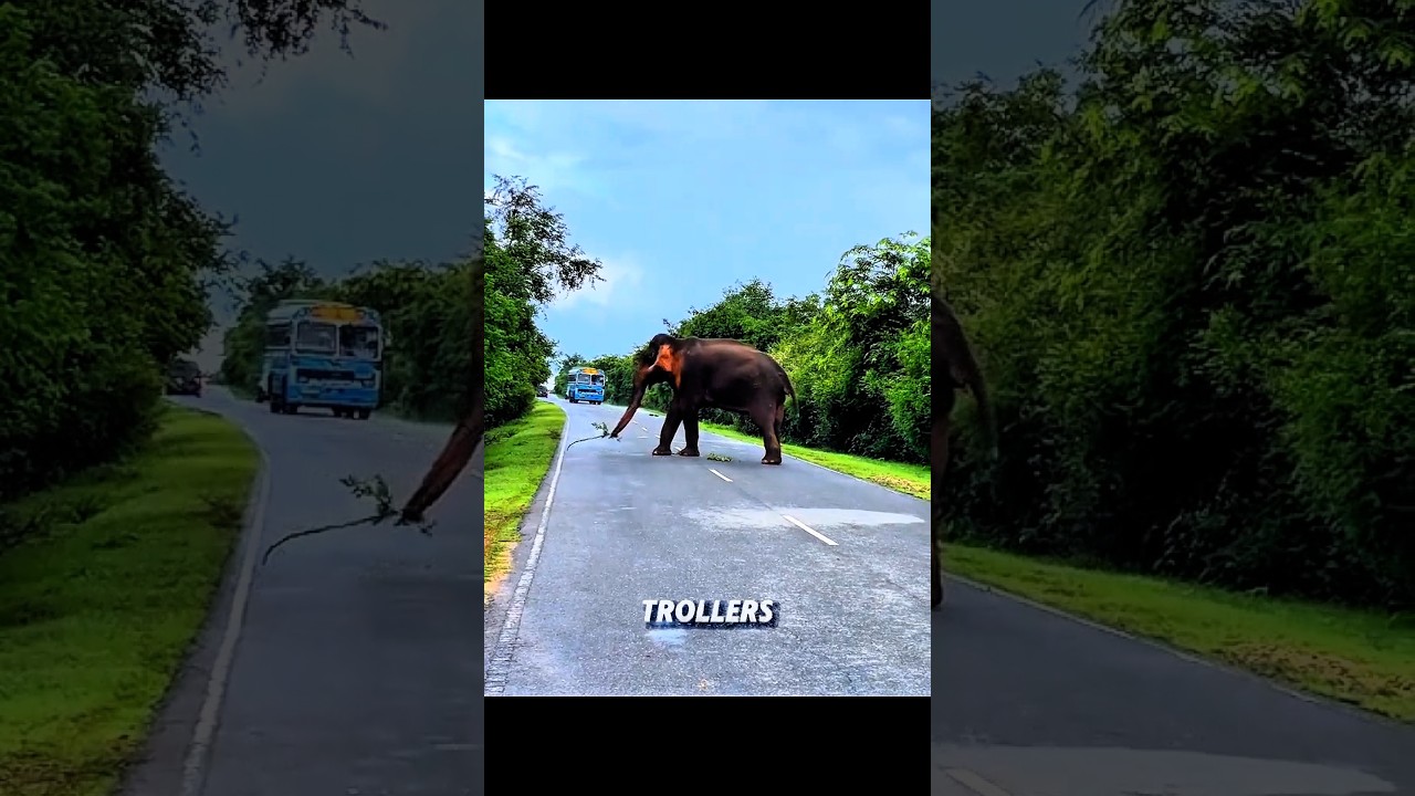 last one is very dangerous💀