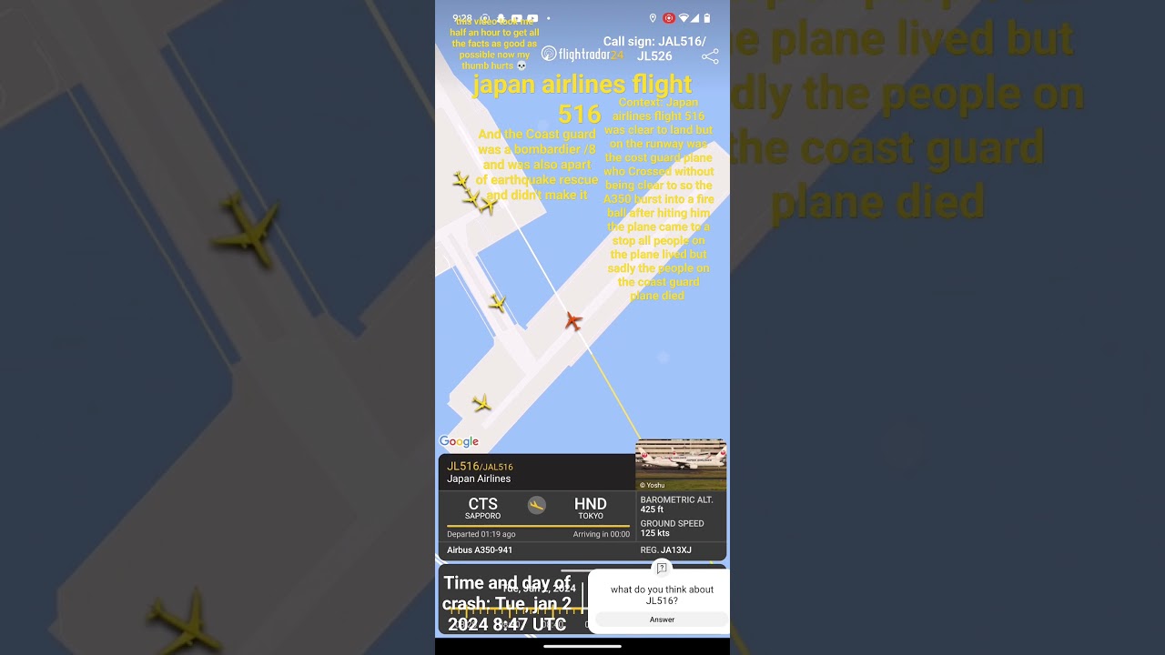 Japan airlines flight 516 