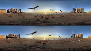 seagluss on the beach 2 vr360 3d