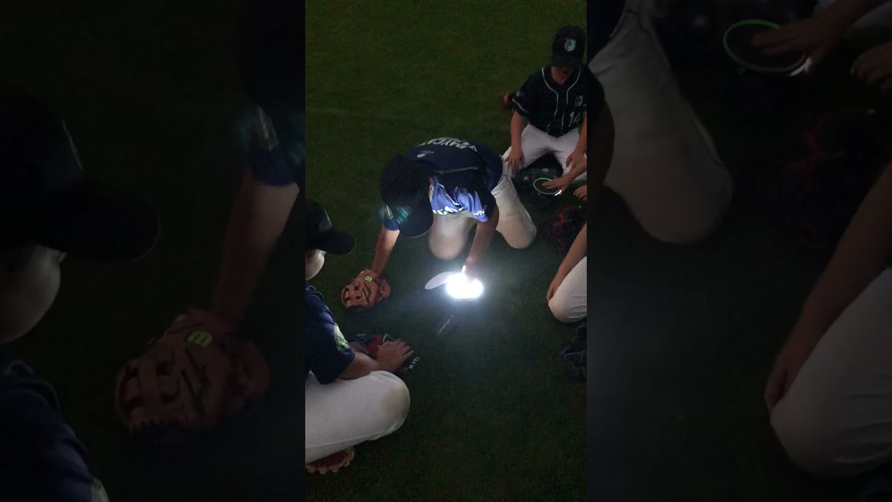 The Original | Chargeball | Glow in the Dark | Baseball | First Reaction | Available on Amazon