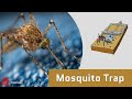 Diy effective homemade mosquito trap no yeast eco friendly