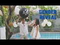 Is it A Boy or A Girl? (JJ Baby Gender Reveal)
