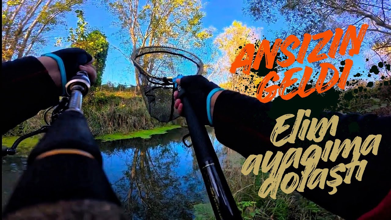 Çatalca Turna-Perch LRF ile  Balık Avı | Devler'le Hesaplaşma | Daiwa Gekkabijin Beam Fish 1.8İnch 🐟