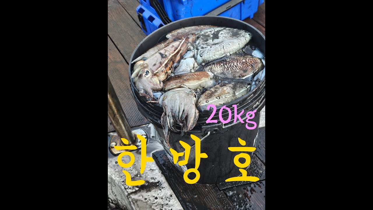 신창항 한방호 출조입니다 2월 초에 조과가 3월달 조과처럼 나오는군요