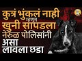 Navi Mumbai Nerul Crime: CCTV मध्ये दिसणारं भटकं कुत्रं भुंकलं नाही आणि पोलिसांनी खुनी शोधला पण कसा?