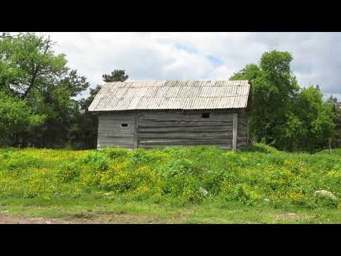 ბორჯომის მუნიციპალიტეტი, დაბაძველის დასახლება  ზღვის დონიდან 1750 მეტრზე