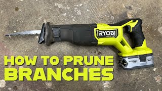 How to Properly Prune Tree Branches with a Ryobi Reciprocating Saw by SLVRBCK TROOP 1,177 views 1 month ago 2 minutes, 6 seconds