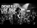 Freddie King, Albert King, T-Bone Walker — Electric Blues Guitar Style Like Vintage Masters