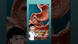 Manfaat Minum Air Hangat Baru Bangun Tidur