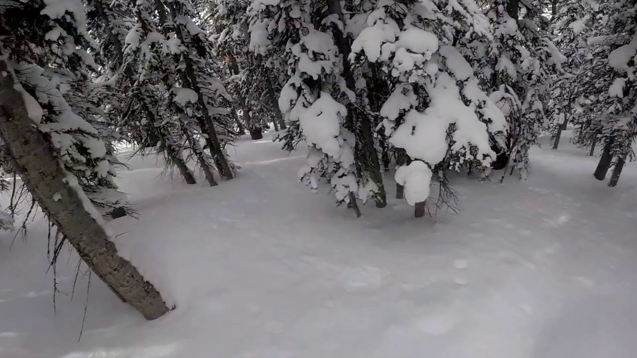 Clip of Berthoud pass 01/29/20 YouTube