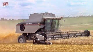 AGCO Gleaner R75 Combine Harvesting Wheat Plus AGCO-Allis 9775 Tractor Action